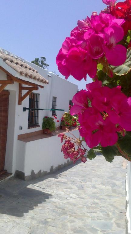 Casas El Molino Villa Вехер де ла Фронтера Стая снимка