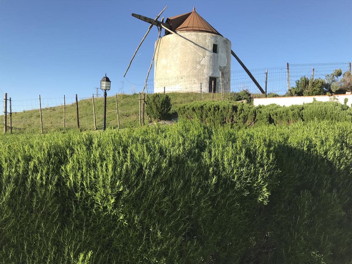 Casas El Molino Villa Вехер де ла Фронтера Екстериор снимка
